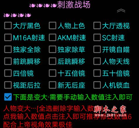 绝地求生刺激战场国际服外挂下载